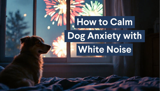 Dogs Afraid of Fireworks? How to Calm Dog Anxiety on the 4th of July With White Noise