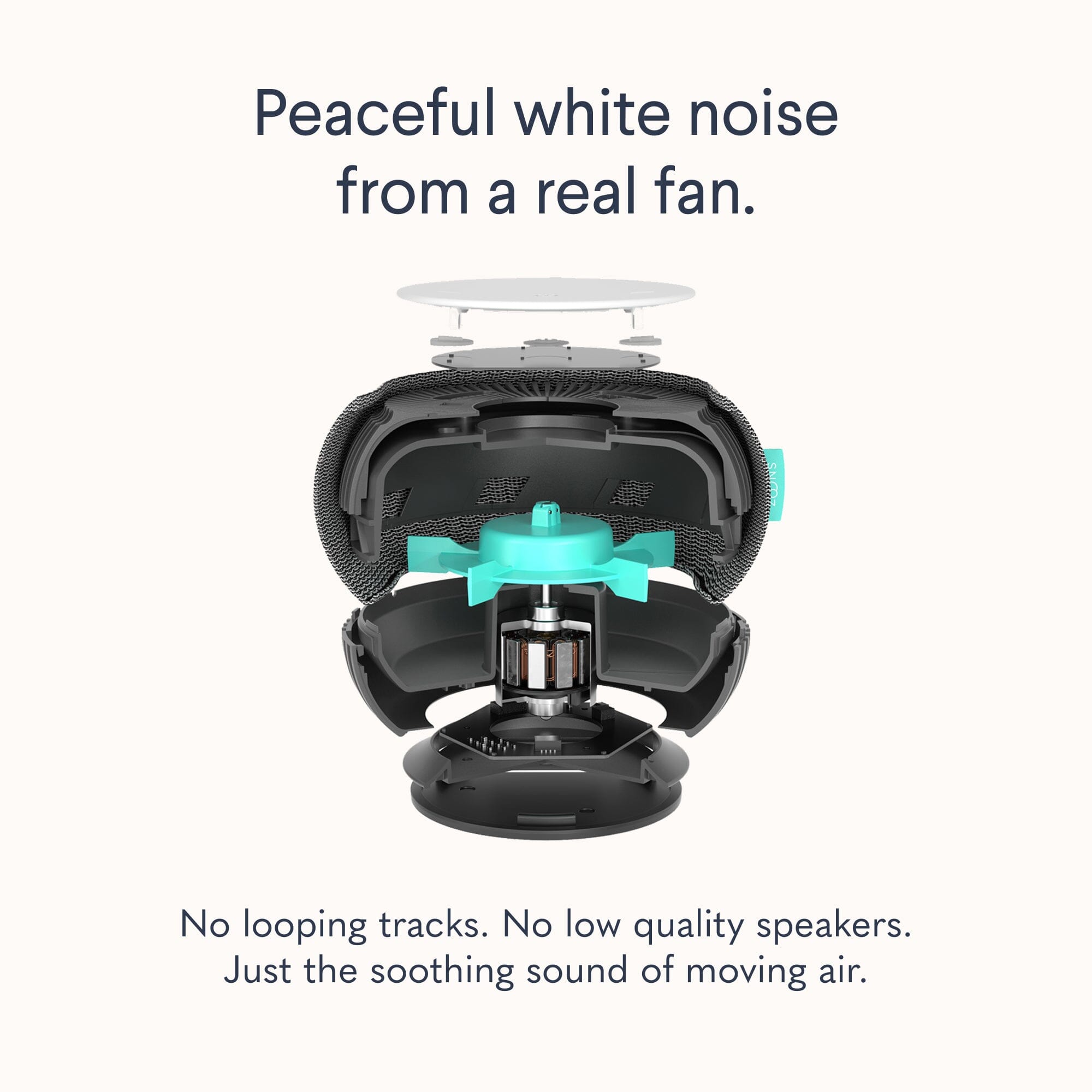 Dream Team Bundle White Noise Machines
