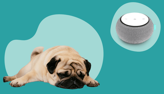 White Noise for Dogs: The Proven Answer to Anxiety and Stress Relief